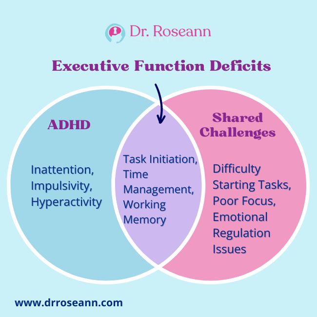 Blog The Overlap Between ADHD and Executive Function Deficits