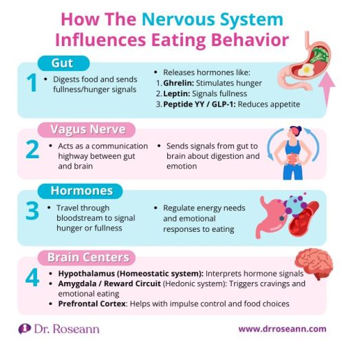 How The Nervous System Influences Eating Behavior