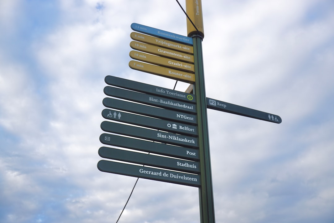 a clear, simple roadmap with signposts for "Symptoms," "Diagnosis," and "Treatment" - pans diagnosis and treatment