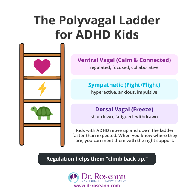 Infographic showing the Polyvagal Ladder states (Ventral Vagal/Calm, Sympathetic/Fight-Flight, Dorsal Vagal/Freeze) to explain the dysregulated nervous system ADHD response.