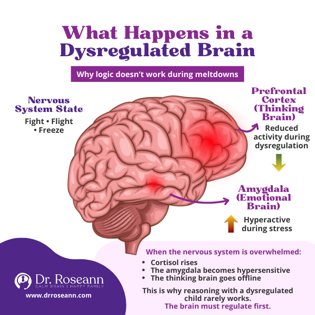 Brain diagram for nervous system parenting showing amygdala activity during a meltdown.