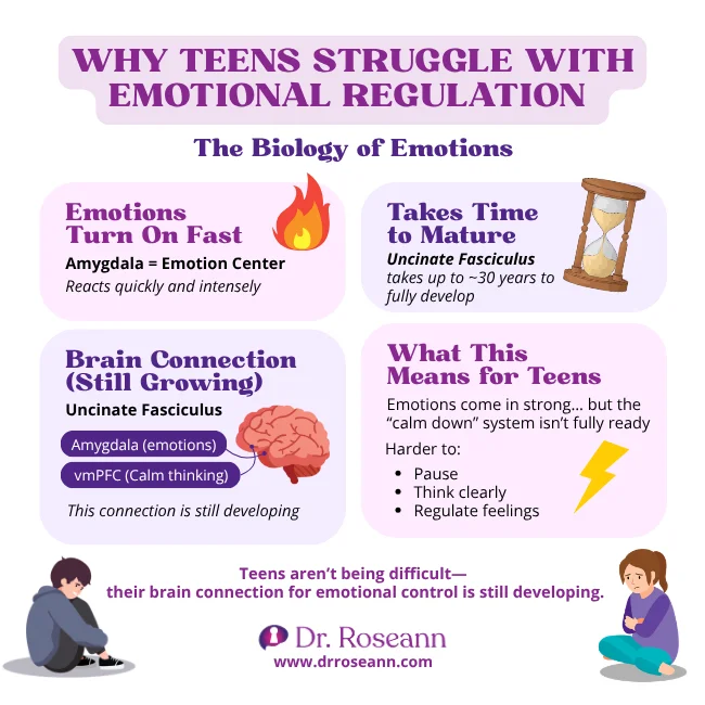 Infographic explaining the biology of emotions in teens and the developing connection between the amygdala and vmPFC.