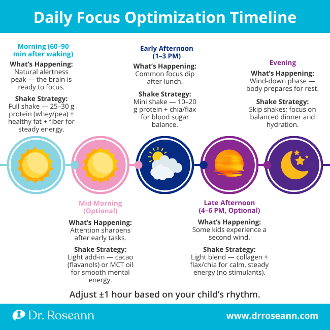 Infographic showing a Daily Focus Optimization Timeline with shake strategies for morning, mid-morning, early afternoon, late afternoon, and evening, suggesting adhd protein shakes and natural adhd supplements for adults.