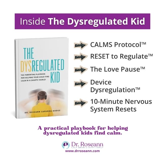 Summary of parenting protocols and nervous system tools in The Dysregulated Kid book.
