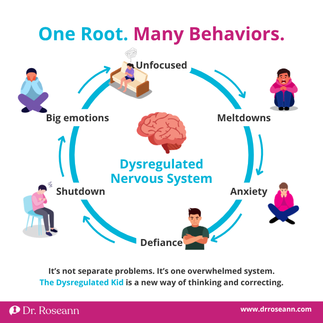 Diagram from The Dysregulated Kid book showing how one nervous system root causes many behaviors.