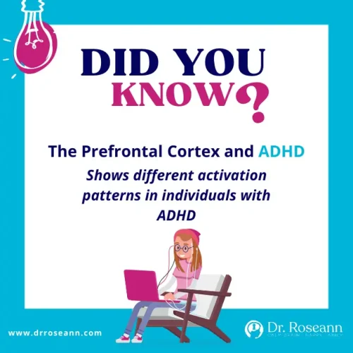 The Prefrontal Cortex and ADHD