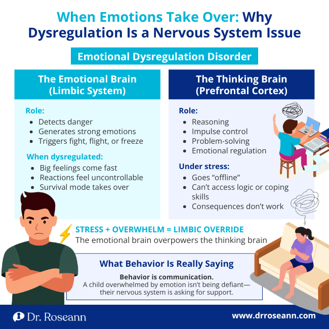 Infographic on emotional dysregulation disorder showing the emotional brain overpowering the thinking brain during stress.