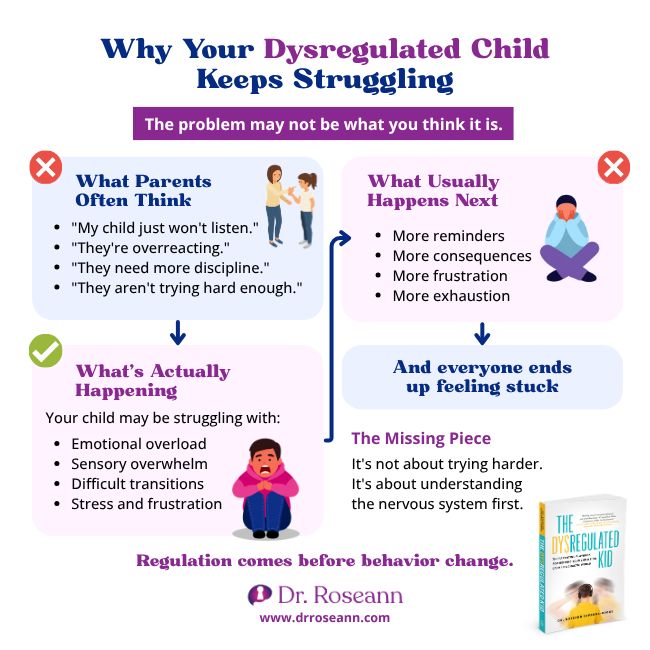 Infographic on understanding a dysregulated child's nervous system for the parenting summit.