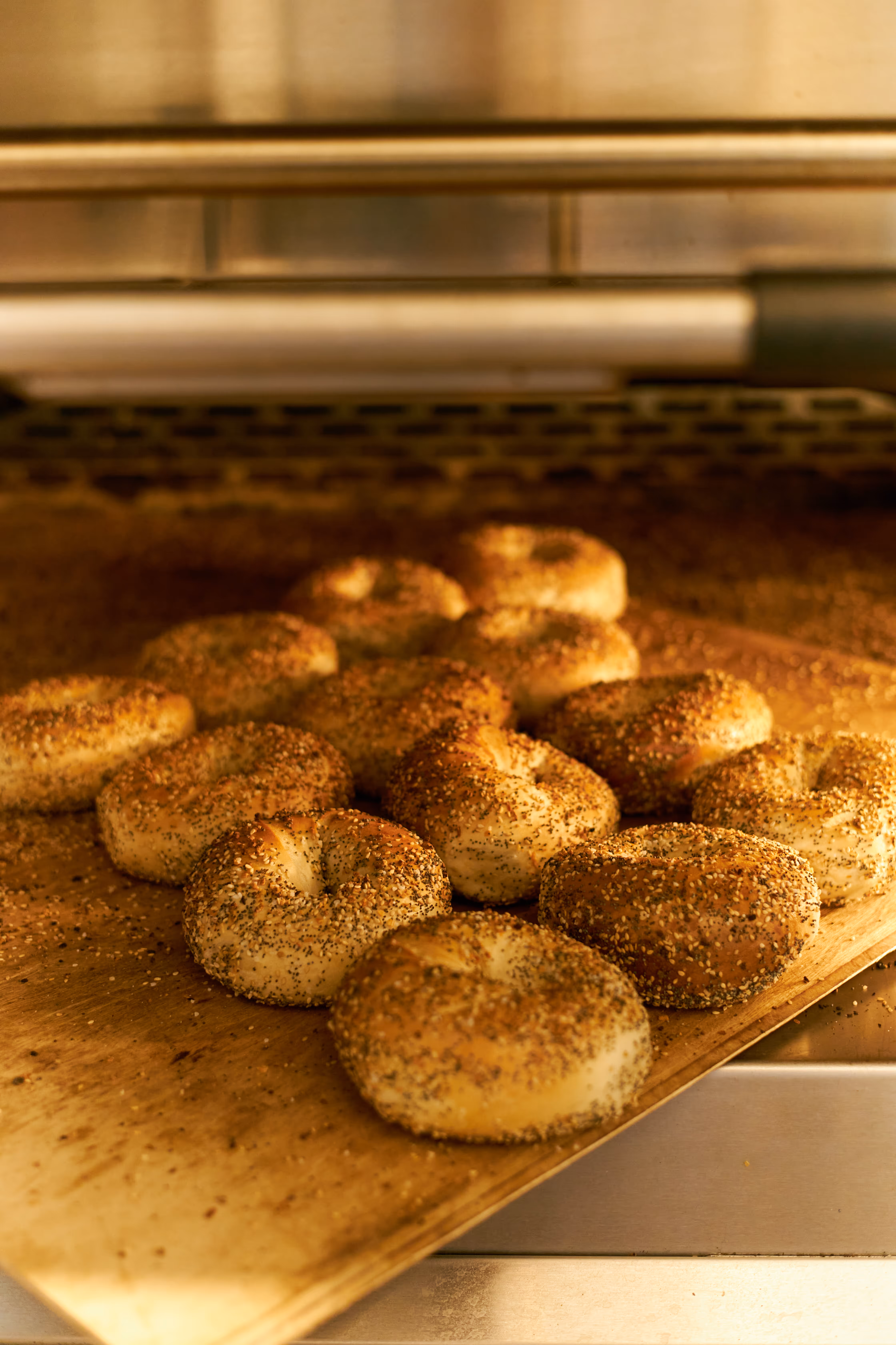 a photo of freshly baked bagels on a tray cooling by the oven