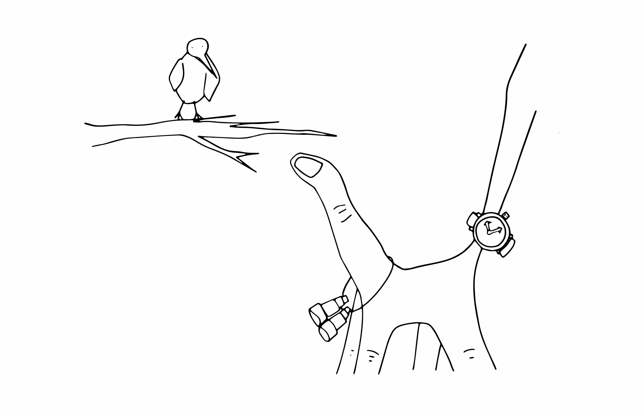 Hand holding binoculars with a wristwatch, pointing towards a bird perched on a branch.