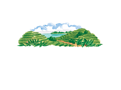 Spice Islands® | Click Here to Learn More