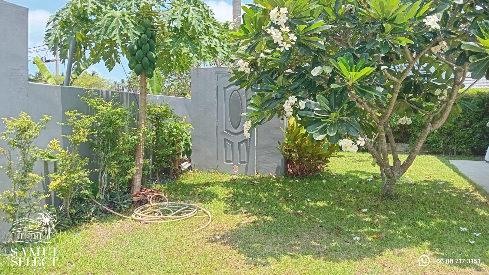 Tropical garden