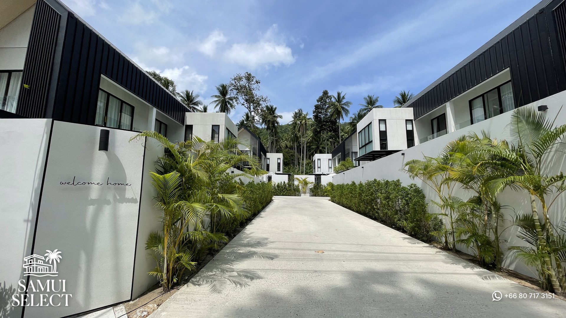 Entrance and tropical garden