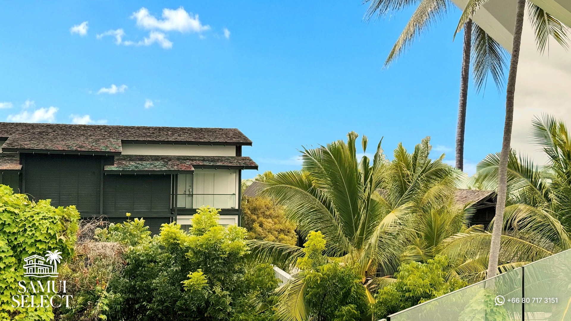 Tropical view from the balcony