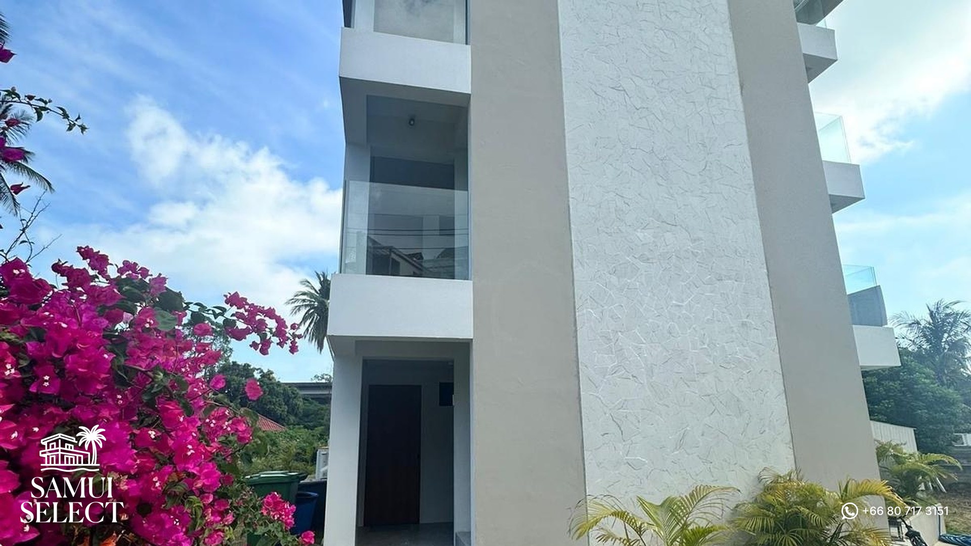 Building entrance with bougainvillea