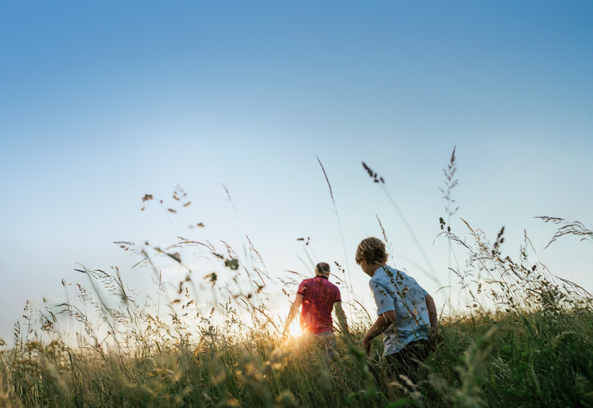 Zwei Kinder gehen durch hohes Sommergras, im Gegenlicht der Abendsonne [no AI]