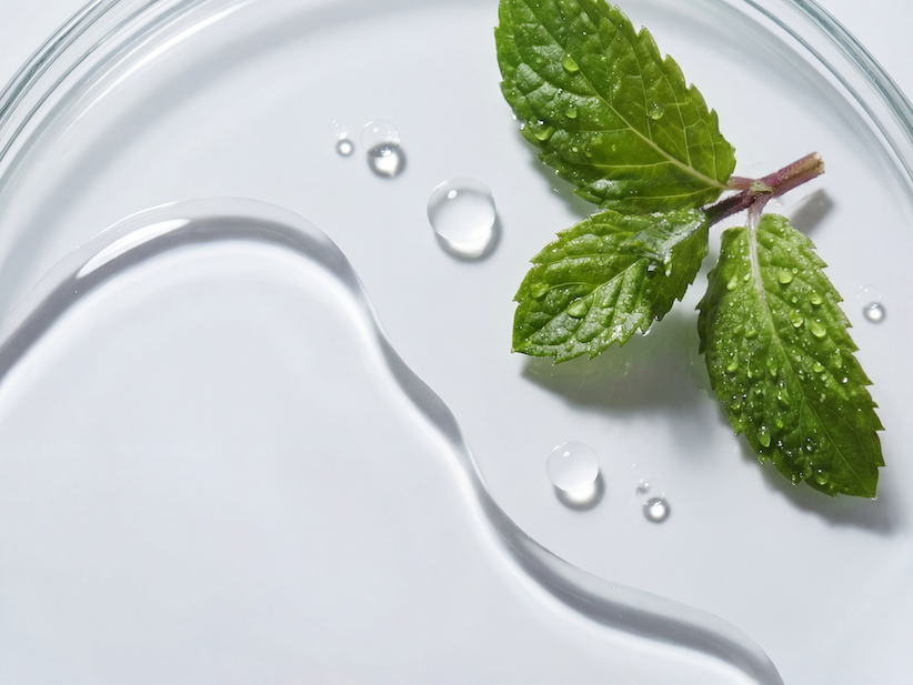 Frische Minzblätter mit Wassertropfen in einer Glasschale