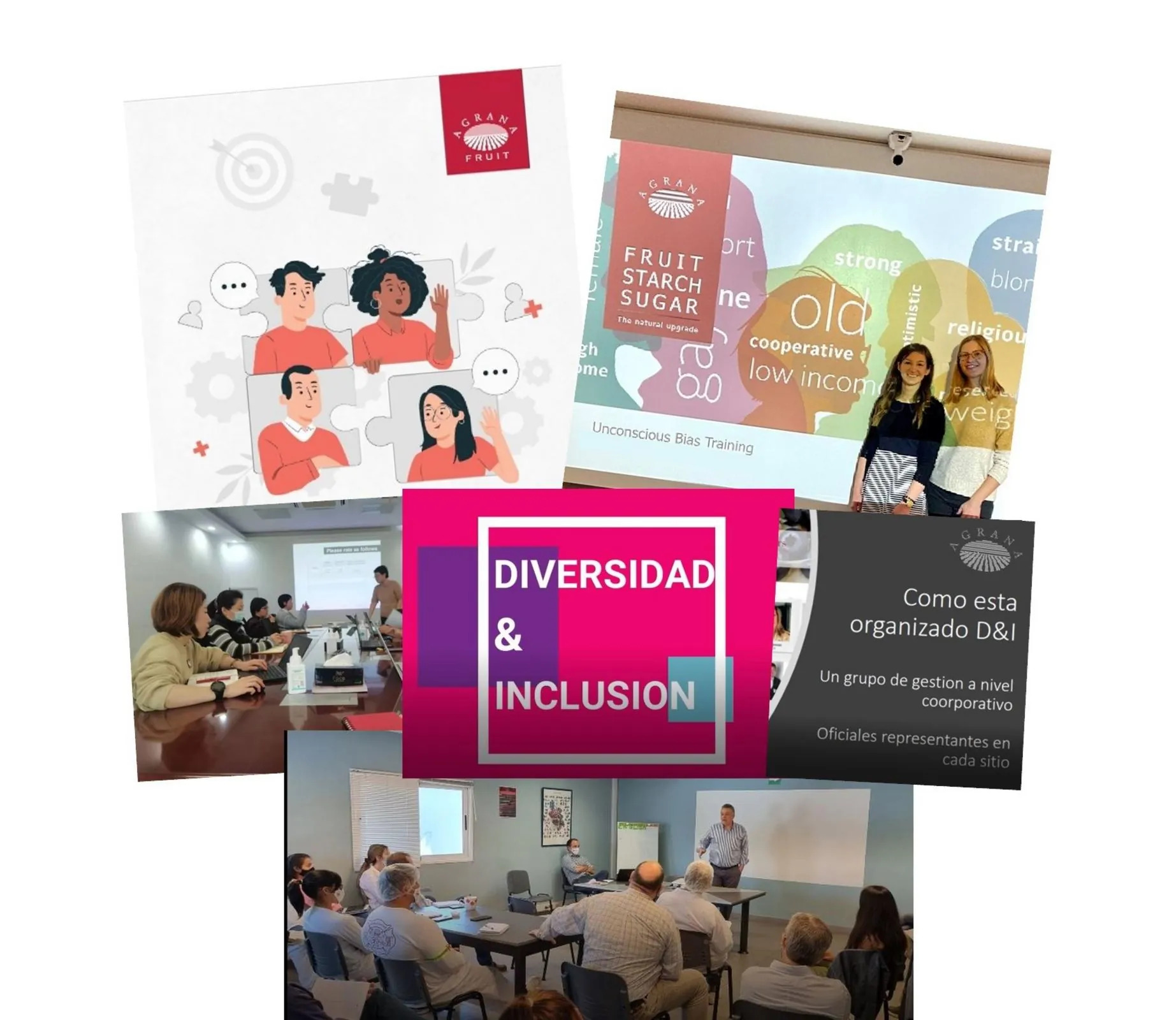 Collage of AGRANA diversity and inclusion training sessions with a Diversidad & Inclusión title card