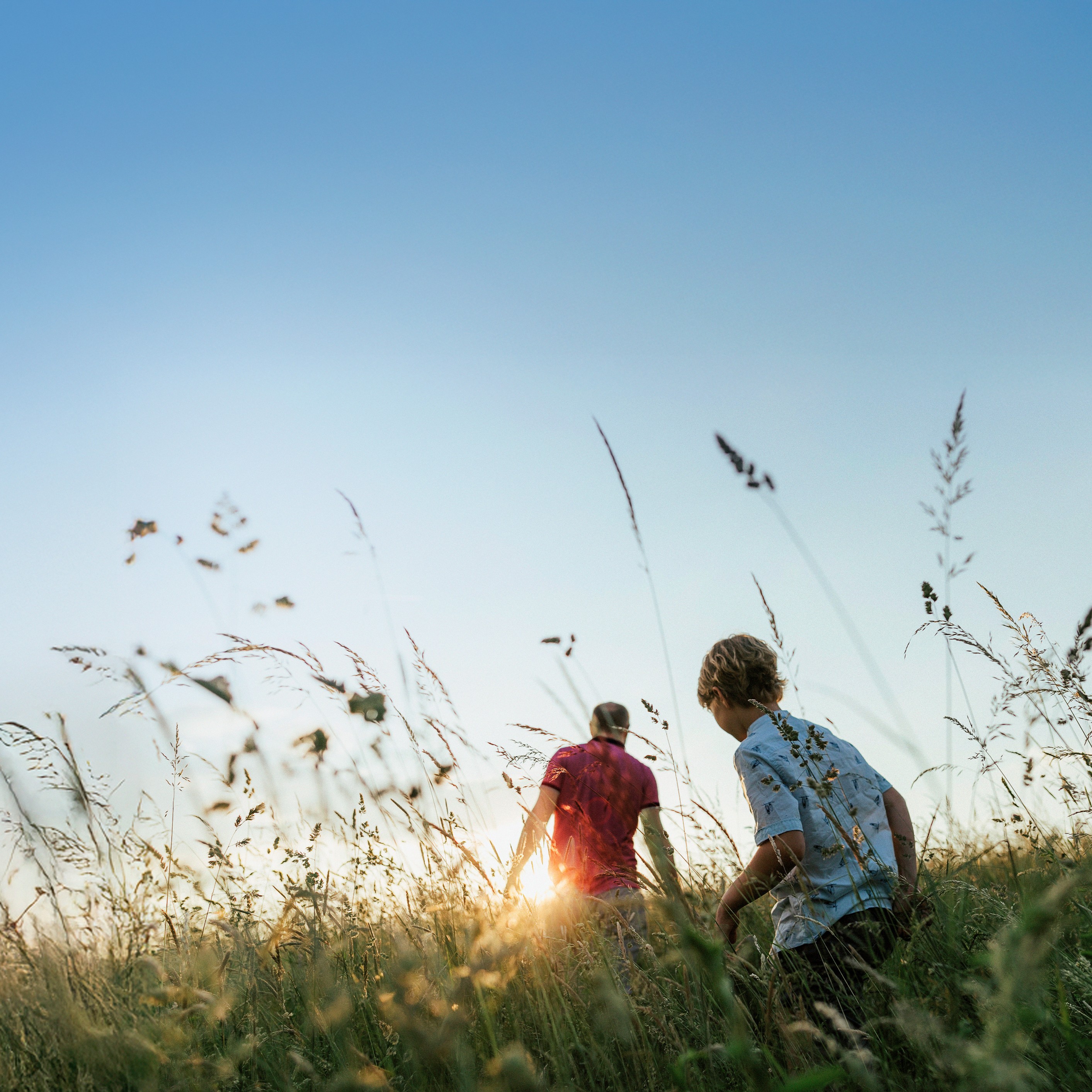 Two children walking through tall grass in a meadow at sunset [no AI]