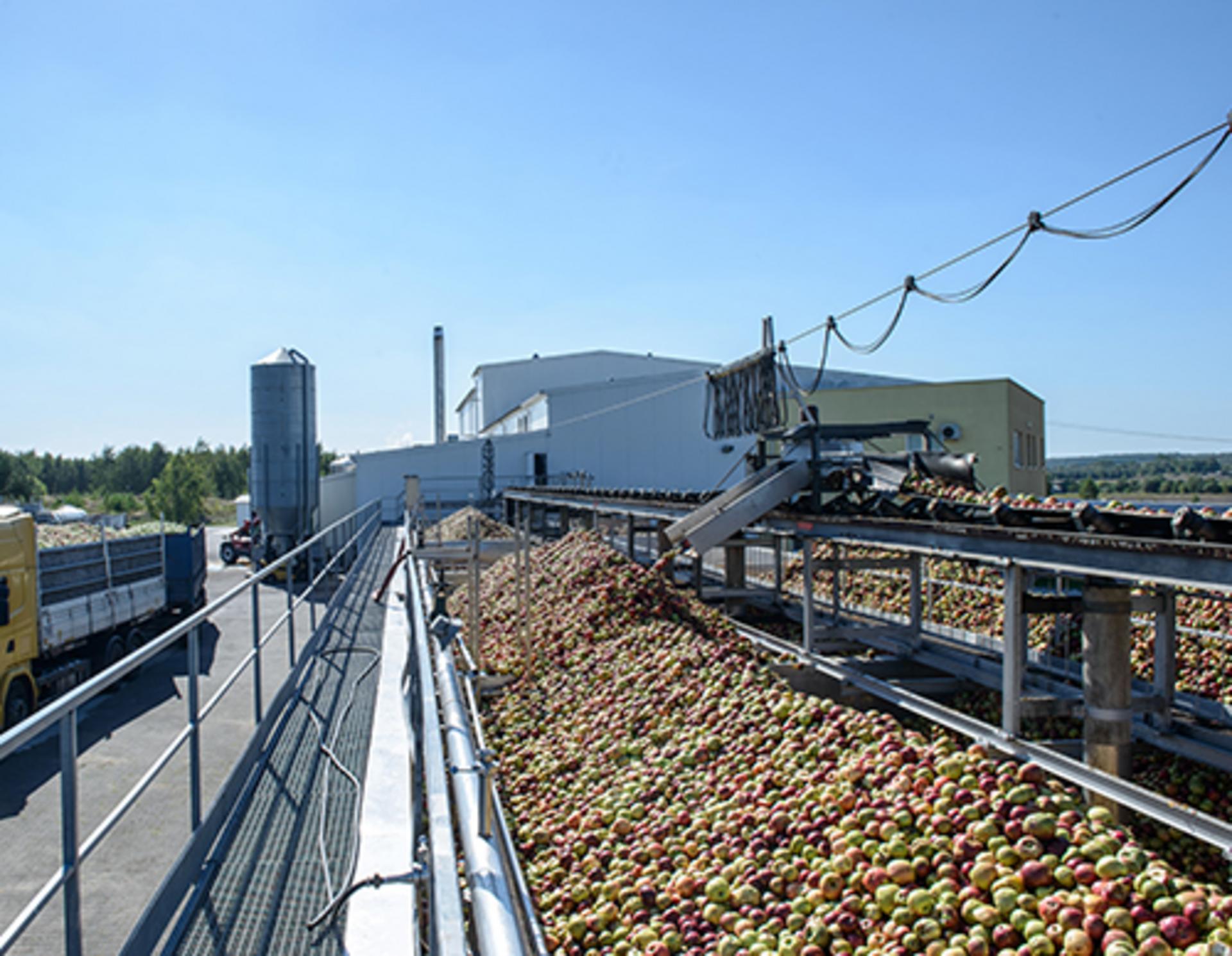 Apples being unloaded from a truck onto a conveyor at the AGRANA Fruit plant in Poland [no AI]