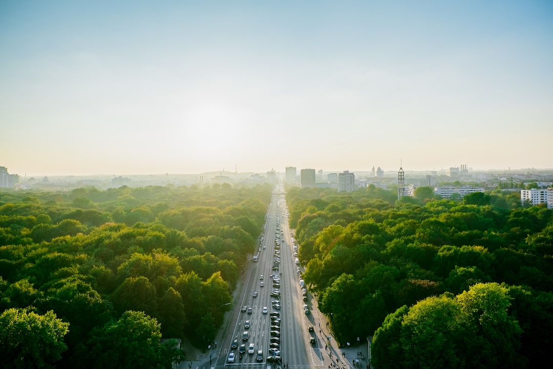Luftaufnahme einer baumgesäumten Stadtallee, die bei Sonnenuntergang auf die Skyline zuführt