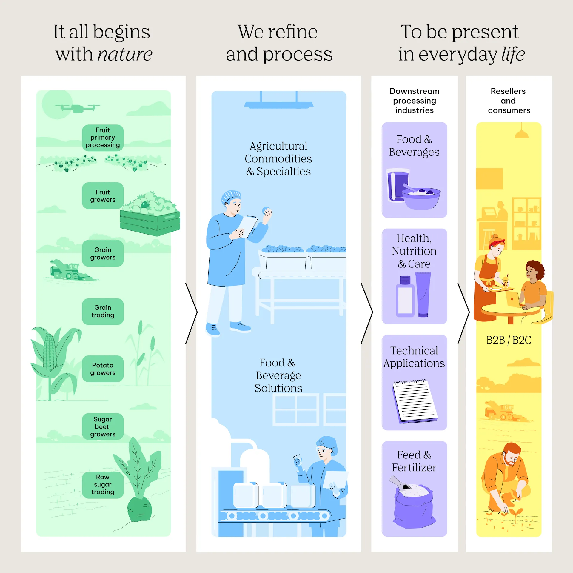 Infographic of the AGRANA value chain: from nature via refining and processing to everyday life [no AI]