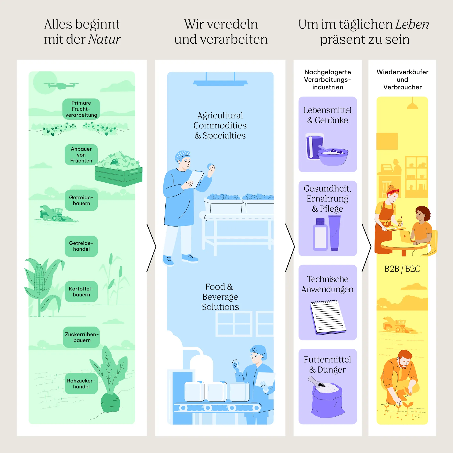 Infografik zur AGRANA-Wertschöpfungskette: von der Natur (Obst-, Getreide-, Kartoffel- und Zuckerrübenbauern) über die Veredelung in Agricultural Commodities & Specialties und Food & Beverage Solutions bis zu nachgelagerten Industrien, Wiederverkäufern und Verbrauchern
