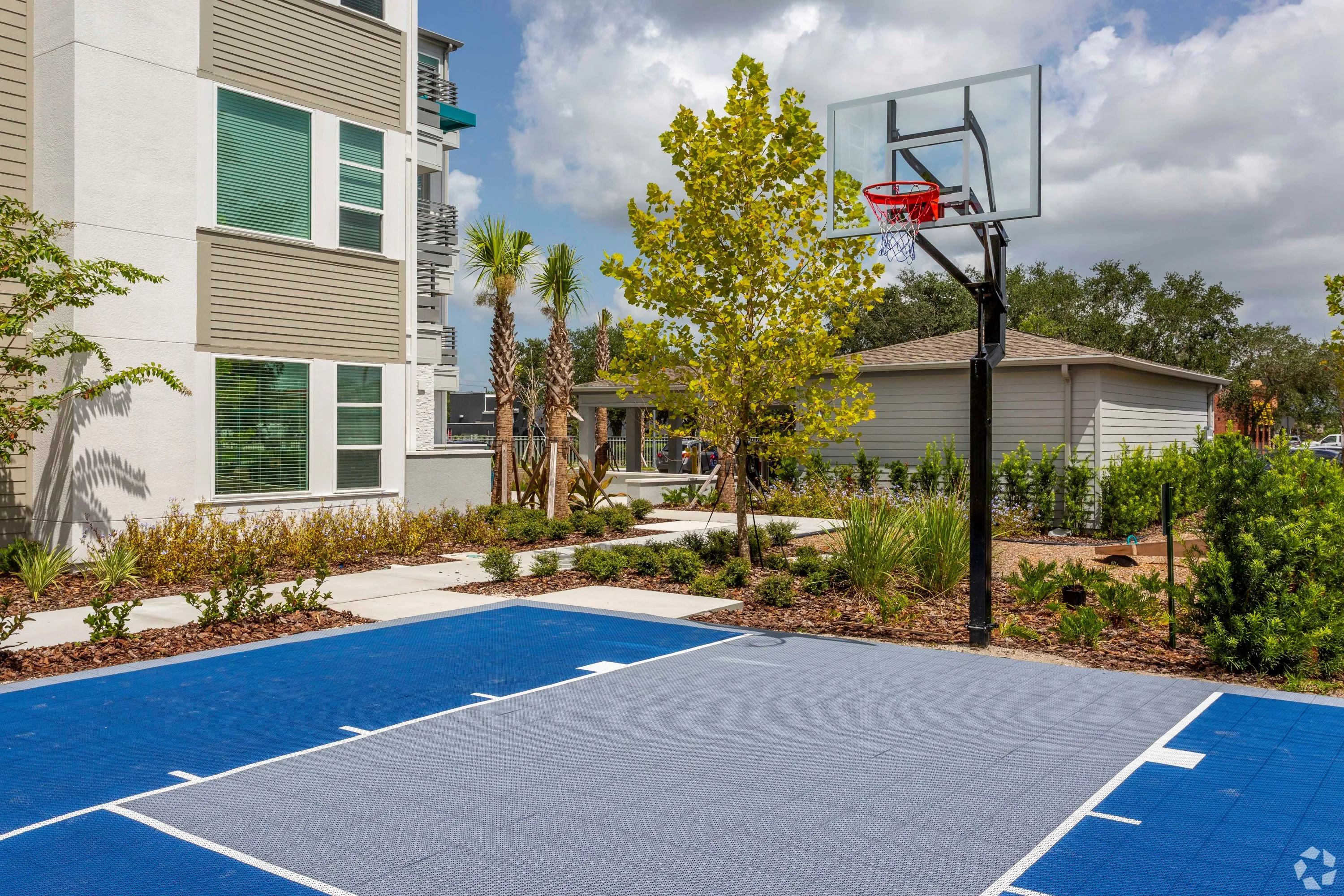 Basketball Court