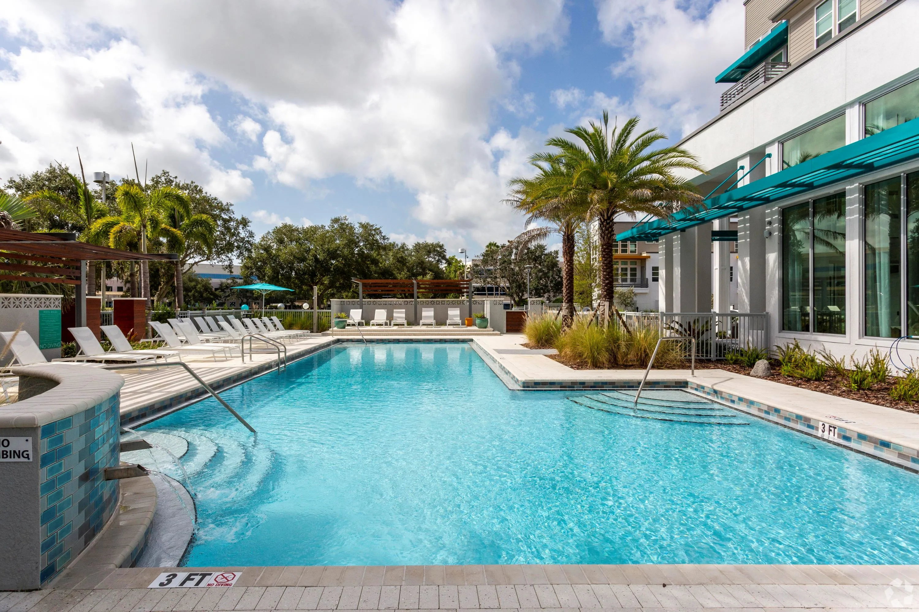 Pool with palm trees