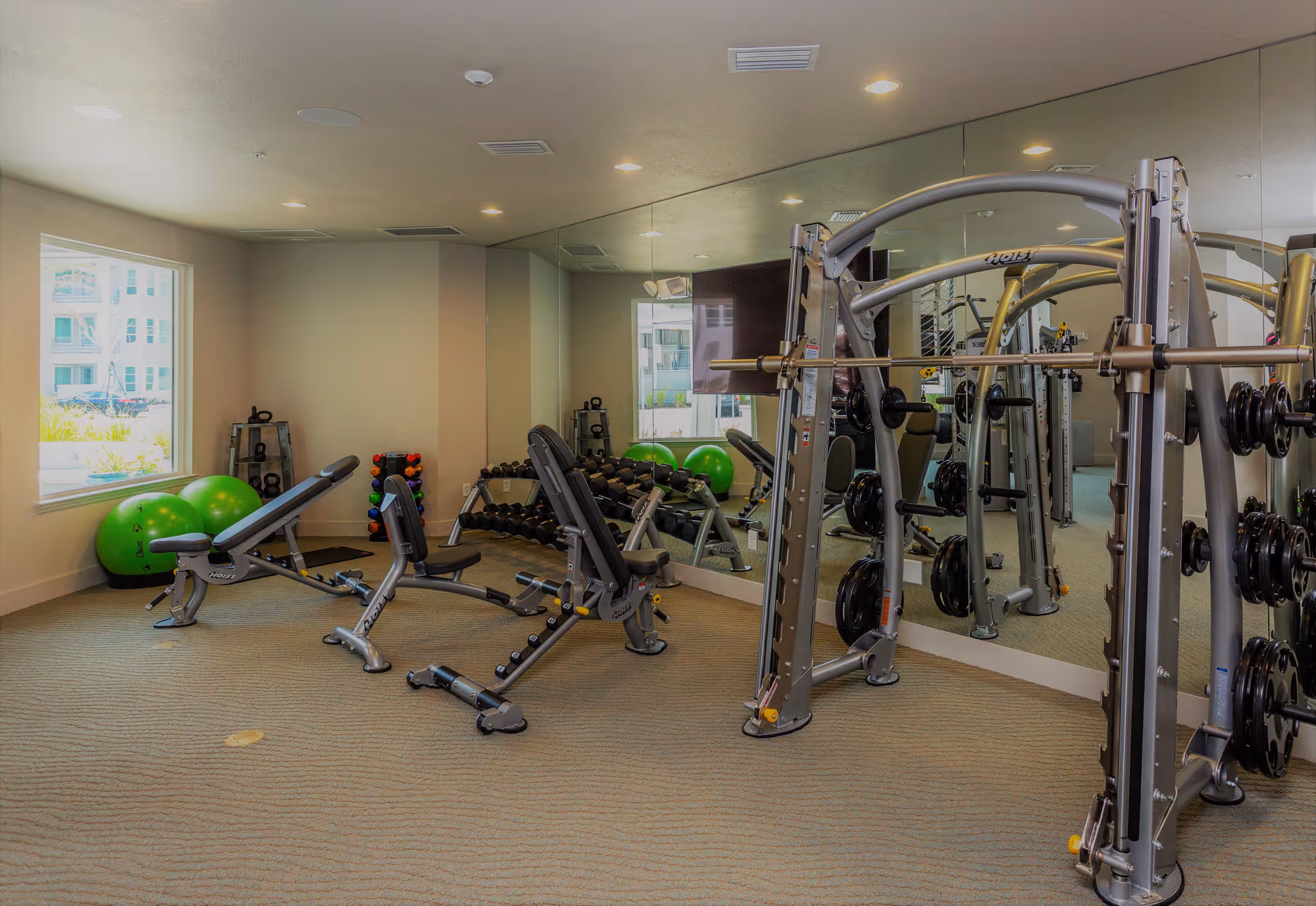 gym with weights and yoga ball