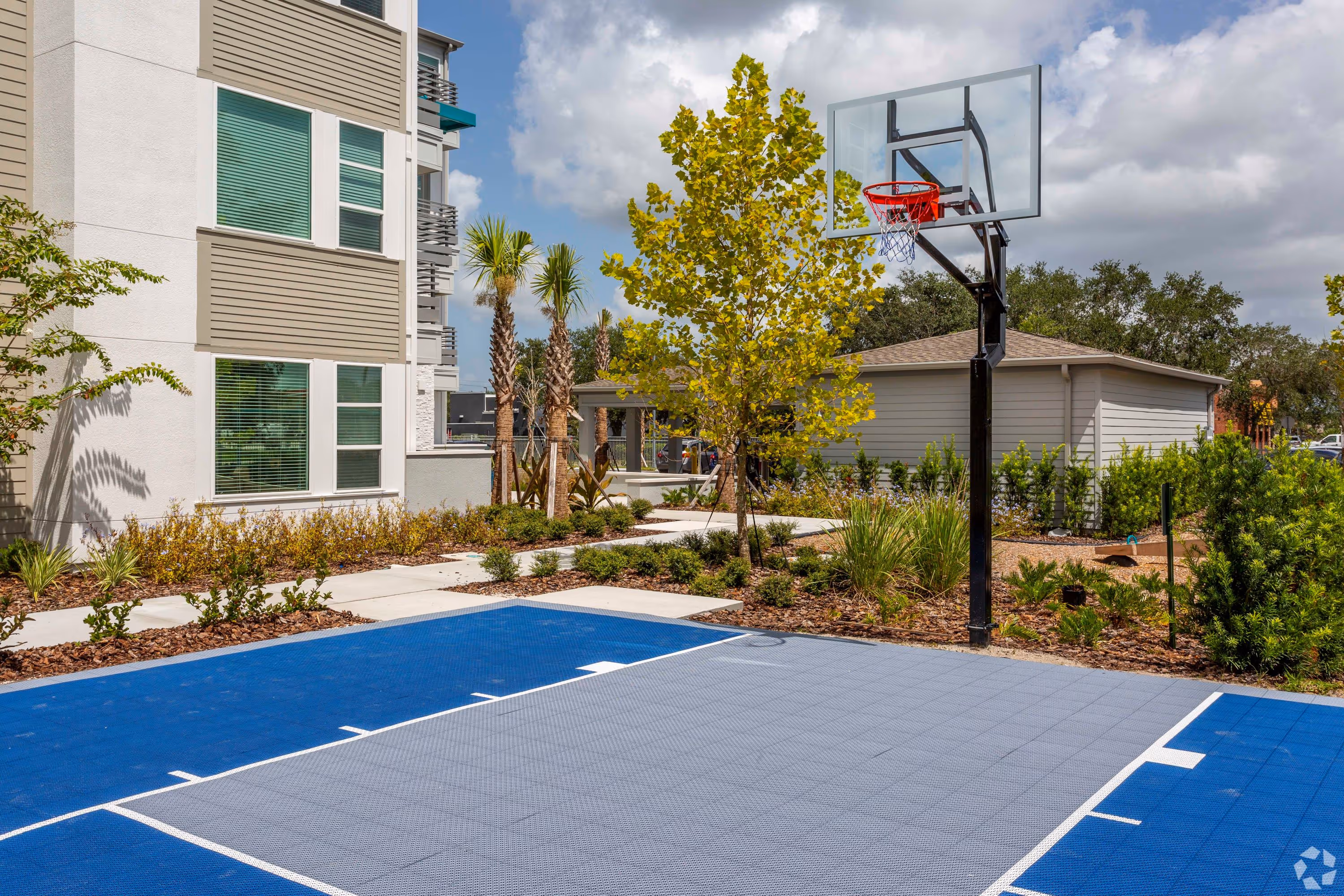 Basketball court