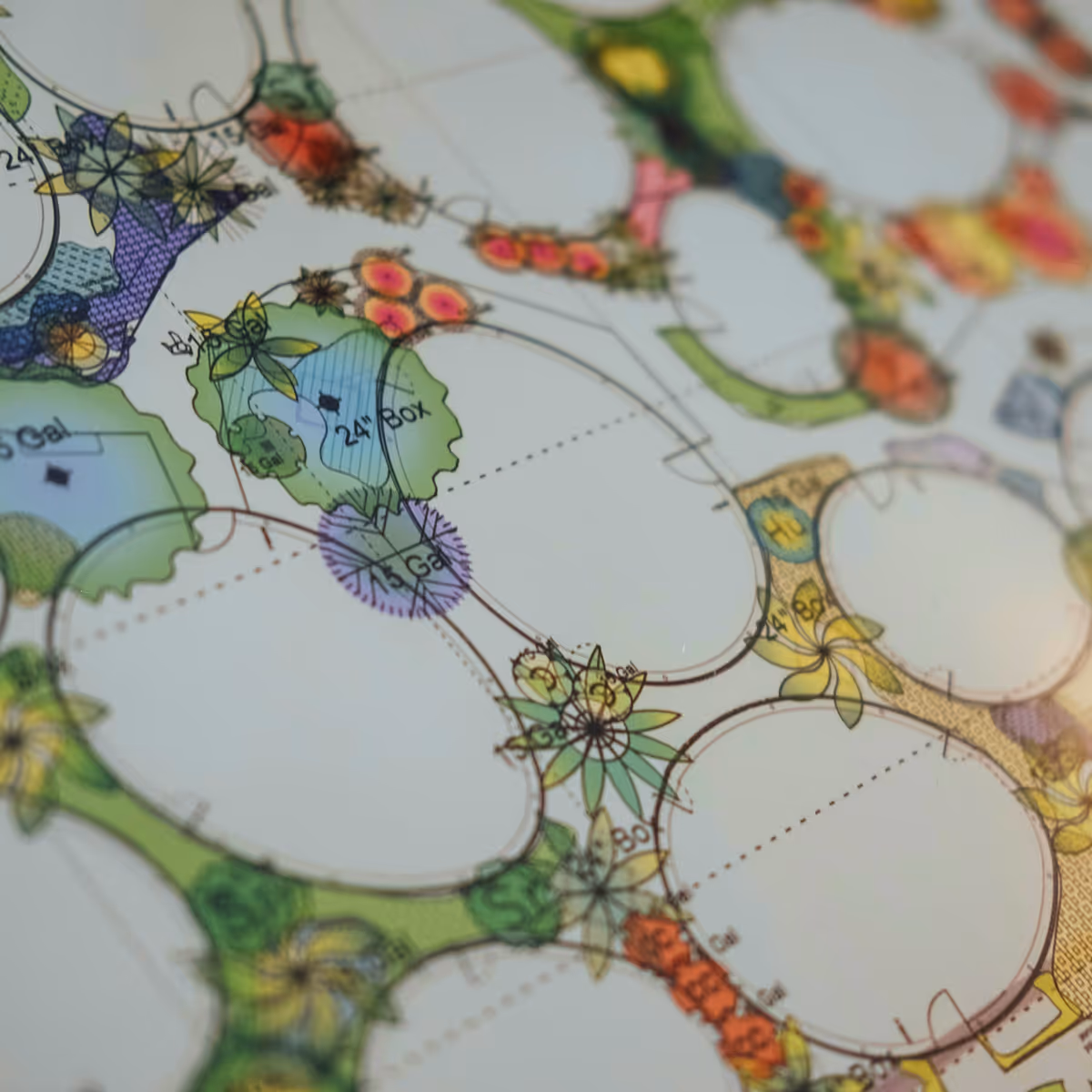 Landscape design plan in colors and organic flower shapes on paper.