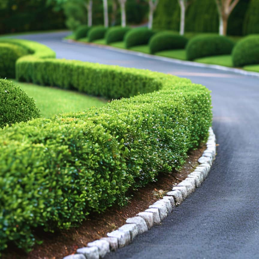 Gallery Image - Landscaping X Webflow Template