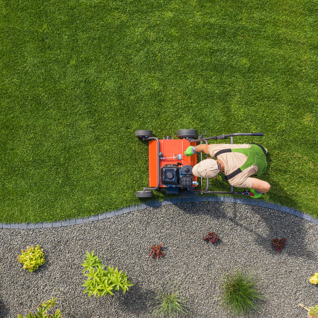 Core Aeration & Overseeding
