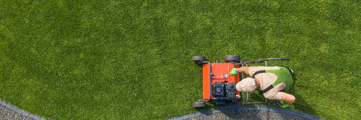 Core Aeration & Overseeding