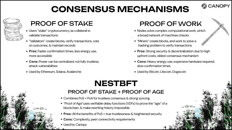 White graphic with black text, describing Proof of Stake vs. Proof of Work Consensus Mechanisms, and Canopy Network's NestBFT consensus, with a stack of coins on the left and a pick axe on the right, with green and black glitchy trees on the bottom.