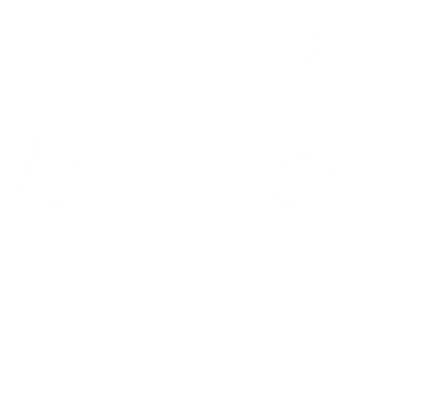 Why Bronco title