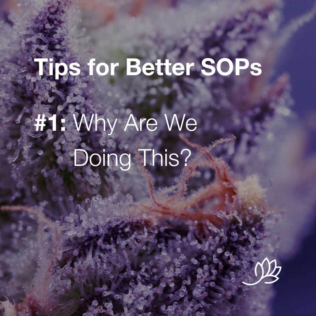 SOP tips - Why