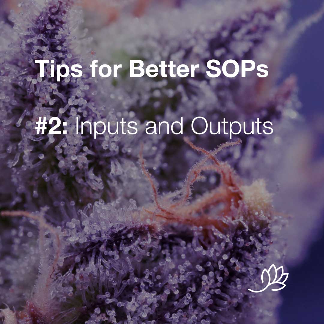 SOP tips - Inputs and Outputs
