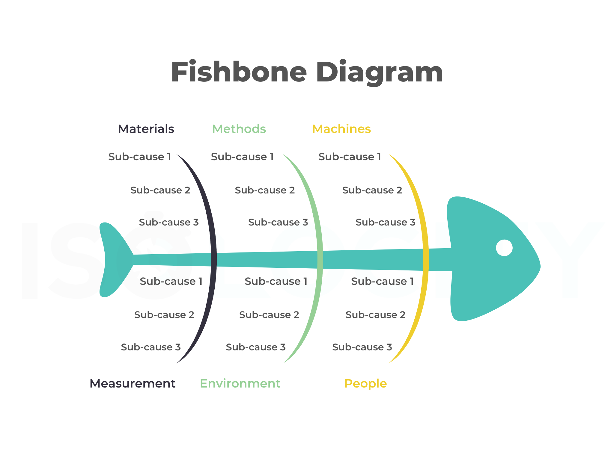 Fishbone Diagram