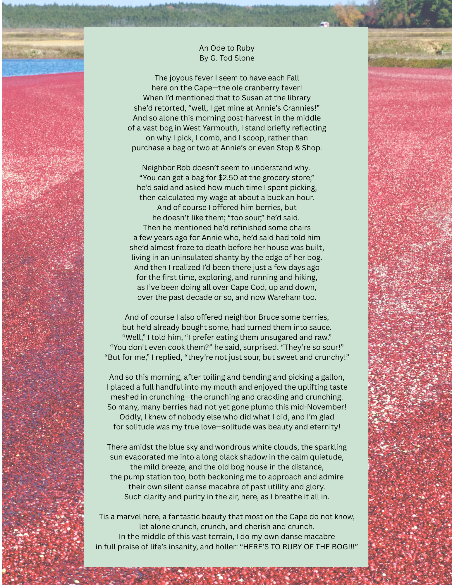 Brewster Ladies Library presents An Ode to Ruby by G. Tod Sloan