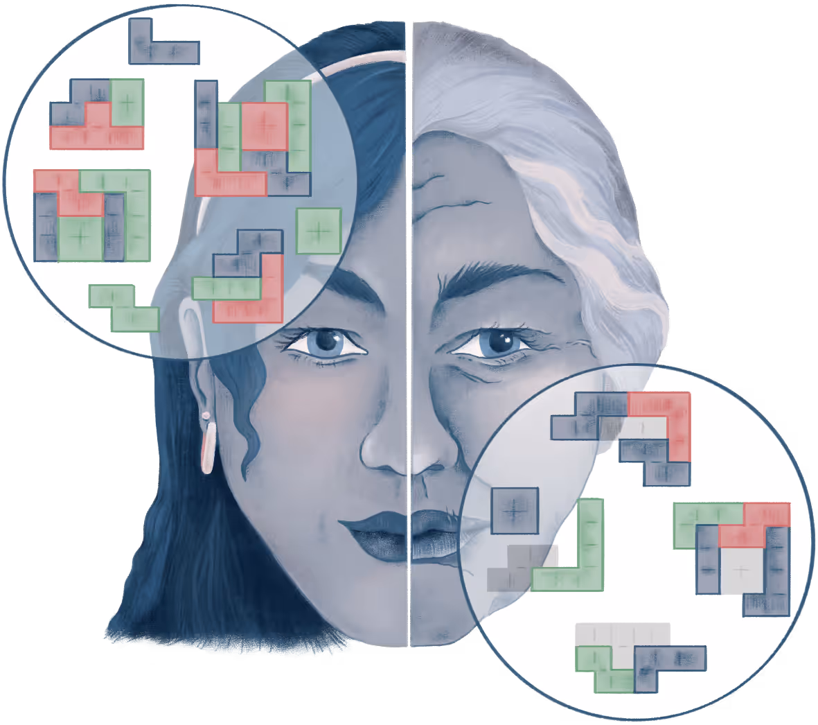 Illustration of a face split into a younger woman on the left and an older woman on the right with two circular insets showing colorful Tetris-like puzzle pieces.