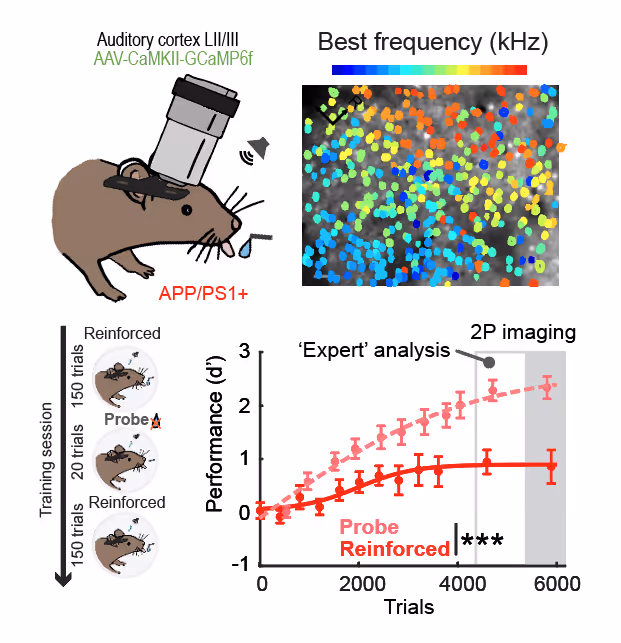 Mouse behavior training graphs