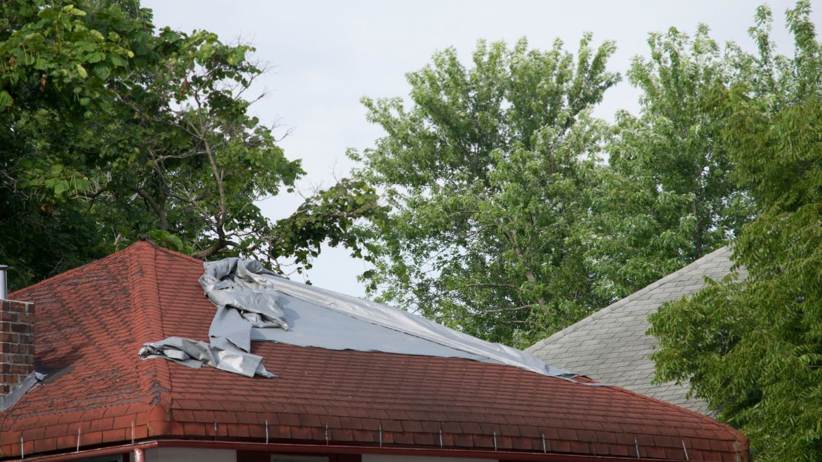 Snow and Ice on Roof and gutter