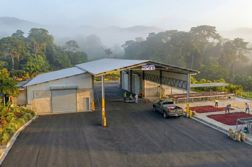 Outdoor processing area with a metal roof and workers spreading red coffee cherries on drying beds beside a pickup truck, surrounded by dense trees and mist.