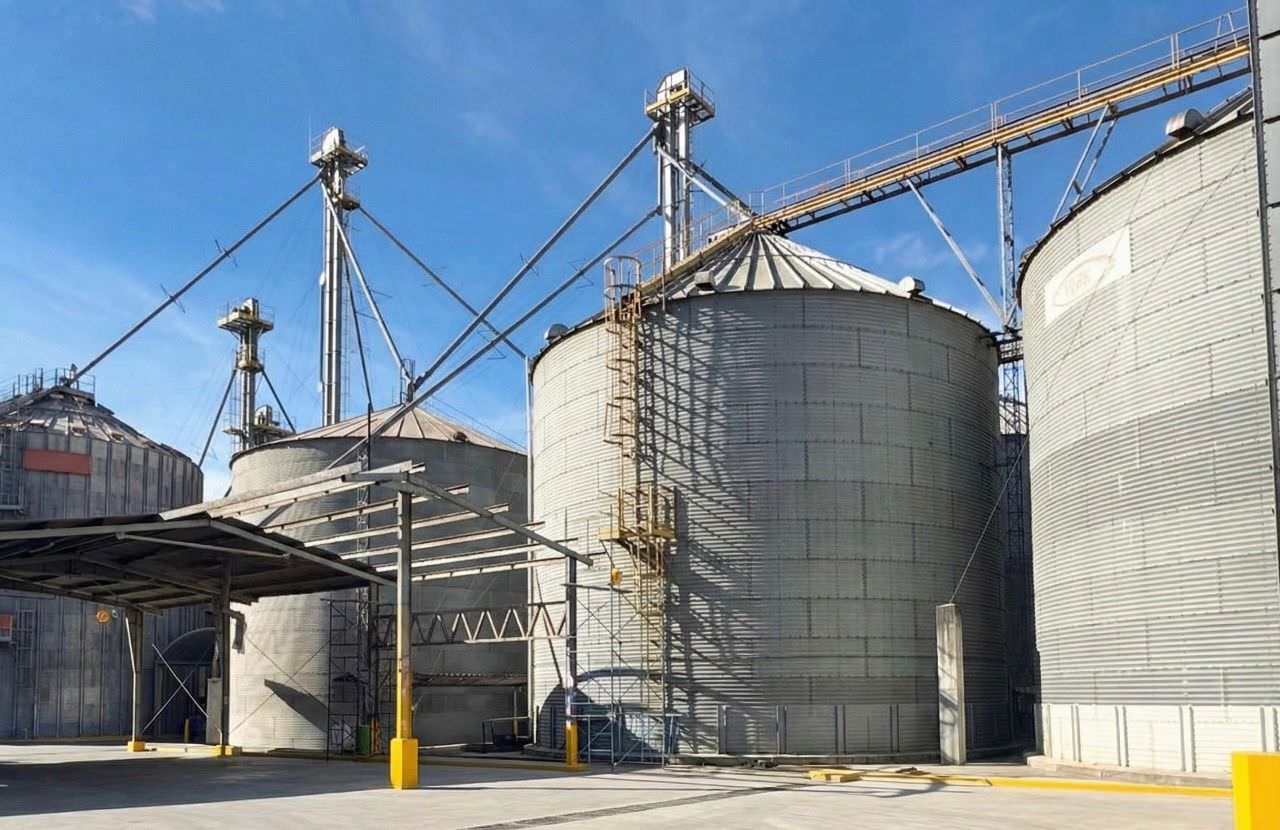 Large industrial grain silos with metal ladders and overhead conveyor system under a clear blue sky.