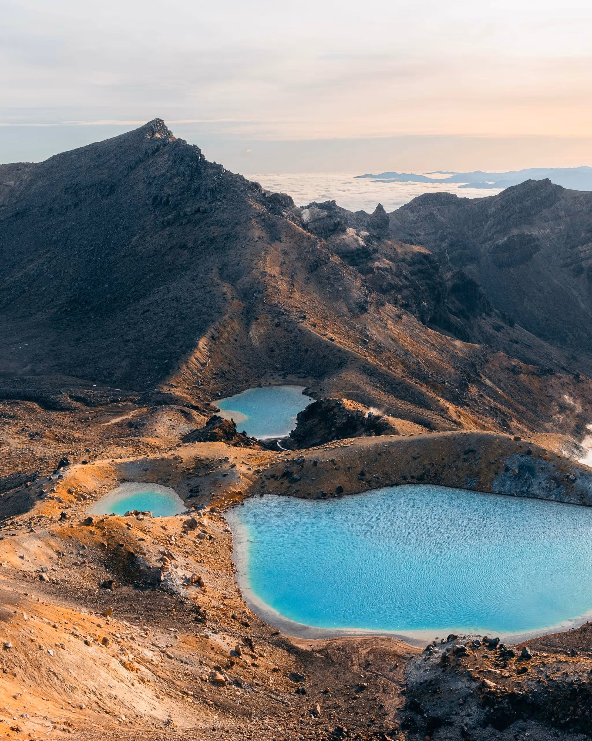 Essential New Zealand