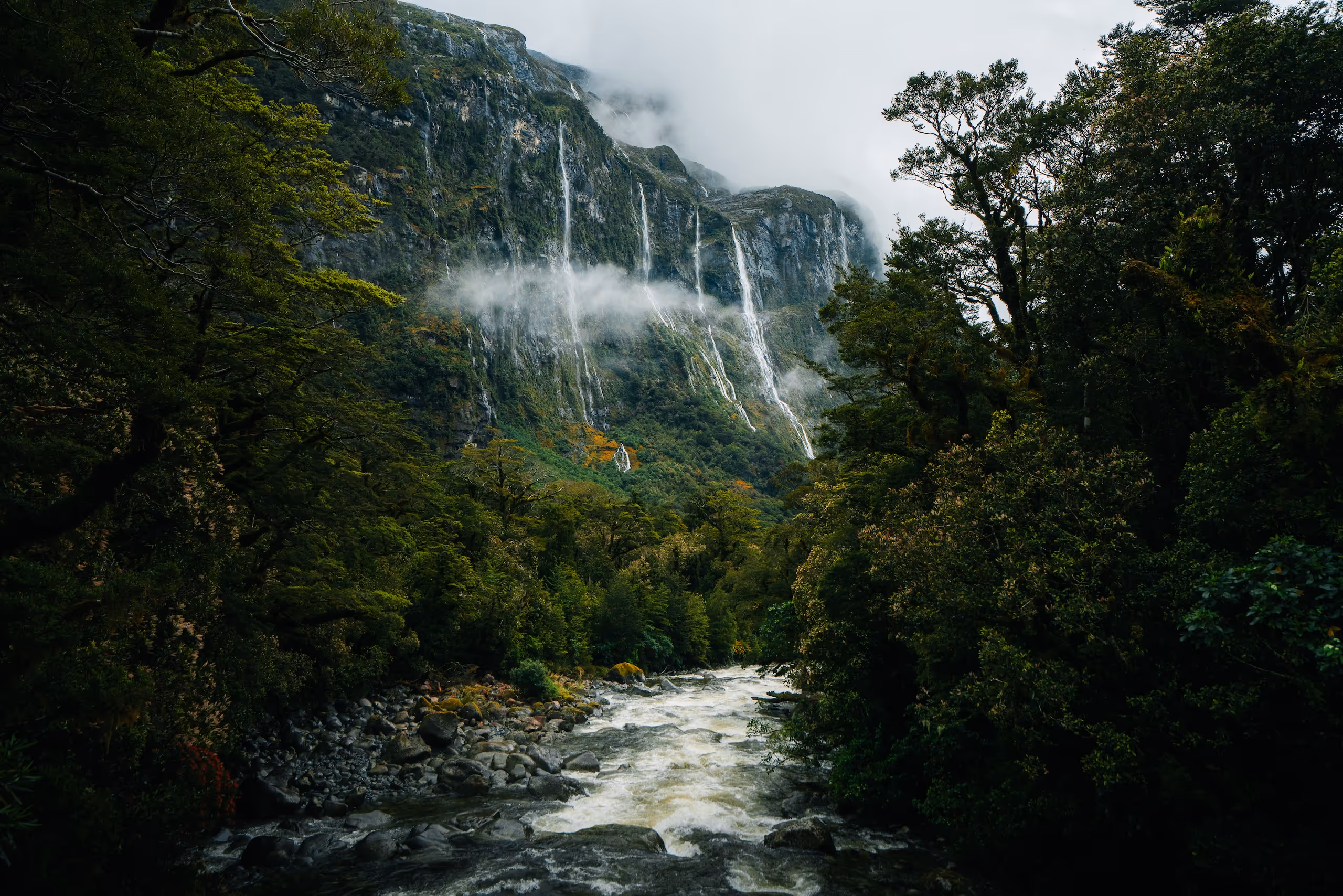 A Journey Through The South Island of New Zealand