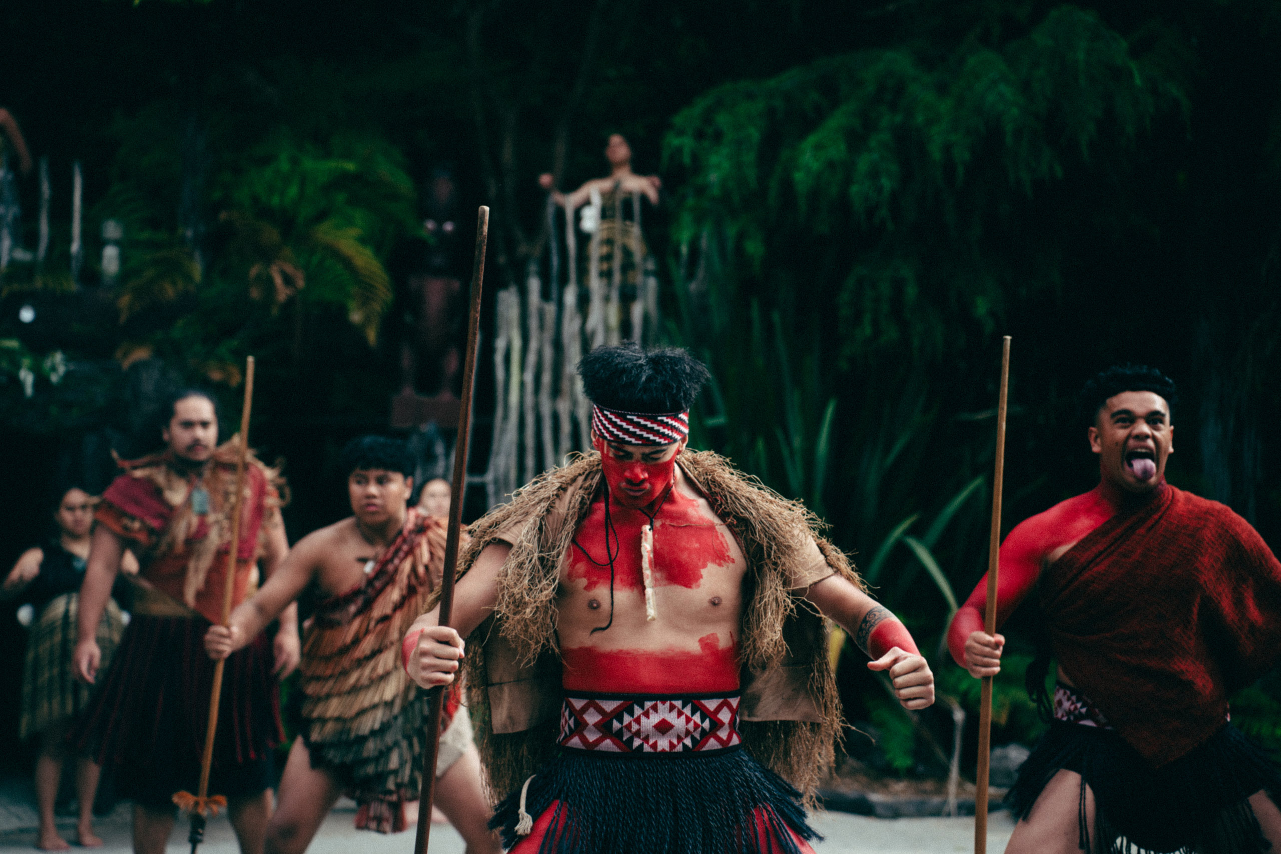 3 Week New Zealand Itinerary