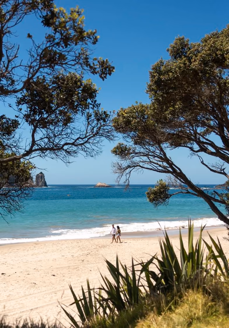 Coromandel Peninsula, Rotorua & Taupō